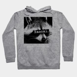 Raccoon Rascal Hoodie